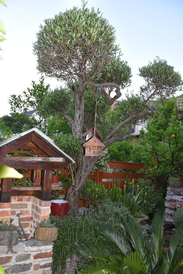 Apartments Scepanovic Tivat Extérieur photo